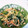 aoyuzu's cooksnap of when they made ５分で出来る！ほうれん草ともやしの和え物.