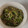 ♡マシェリ♡'s cooksnap of when they made 簡単！ピーマンとじゃこのオイスター炒め♪.