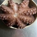 おおミー's cooksnap of when they made たこの茹で方.