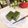 kpえもん♪'s cooksnap of when they made mamakissの★抹茶水ようかん★.