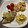 ぐりtoぐら's cooksnap of when they made 秋味蒸し◇ぶりときのこ.