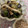 clover♡3's cooksnap of when they made めちゃめちゃ便利！和えるだけ胡麻和えの素.