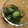 みぃくんのママ's cooksnap of when they made きゅうりの酢の物.