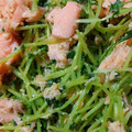 クックA5KDOT☆'s cooksnap of when they made 鮭と豆苗のごま生姜和え【作り置き】.