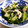 ☆やすちゃん☆'s cooksnap of when they made かんたん酢であと一品　酢の物.
