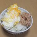 きらり流れ星's cooksnap of when they made 野菜とツナのずぼらどんぶり.