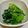 はずかしむでぃん's cooksnap of when they made 小松菜のおひたし.