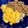 クックE7JAA4☆'s cooksnap of when they made 簡単★二色丼.