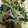 ma___111's cooksnap of when they made もやしとニラとカニカマのナムル.