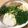 クックID3MMY☆'s cooksnap of when they made 美味３ネバ冷し蕎麦☆鍵は茗荷←自分用覚書.