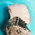 mersaisons's cooksnap of when they made お豆腐と豆乳で！黒ごまプリン.