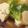 ★VANESSA★'s cooksnap of when they made 入れて煮るだけ☆ホタテと豆腐の煮もの。.