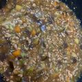 mahalomiyu's cooksnap of when they made 離乳食完了期～☆茄子と豚ひきの味噌煮.