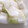 ヘラクレスオオカブト's cooksnap of when they made 冬瓜の冷凍保存.