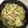 くりっかー's cooksnap of when they made キャベツと揚げとしらすの煮びたし.