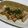 クック083103☆'s cooksnap of when they made まぐろのスタミナステーキ.