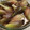 クックOT0XG0☆'s cooksnap of when they made パパッと簡単！みょうがの甘酢漬け【動画】.