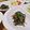 クックI7I5L1☆'s cooksnap of when they made 貧血予防！春菊と人参とキクラゲのゴマ和え.
