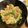 クックX99J9J☆'s cooksnap of when they made 本格的なお味☆ホイコーロー.