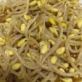 1982いぬどし's cooksnap of when they made 節約！でも美味しい！「豆もやしのナムル」.