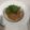 まき56☆'s cooksnap of when they made 香箱蟹のトマトクリームパスタ.