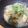 ダビデンコ's cooksnap of when they made フライパン1つ！鶏むね肉と玉葱のみぞれ煮.