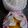 クックH86AFM☆'s cooksnap of when they made ★梨の保存★.