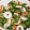 クックDAD's cooksnap of when they made 超簡単！きゅうりとちくわのごまあえ.
