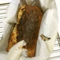 sakutakuhitoshu's cooksnap of when they made ケタ違いに美味しい！チャイ風バナナケーキ.