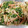 ちぃくらげ's cooksnap of when they made 定番♪簡単♪ごぼうのサラダ.