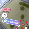 ＊Yｕｋｏ＊'s cooksnap of when they made ホエーのレモンゼリー.