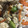 ma___111's cooksnap of when they made 人参と枝豆の炒り豆腐.