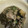 ふじりー's cooksnap of when they made 大量なすの煮物炒め.
