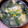 クックT3KINU☆'s cooksnap of when they made 簡単わかめと卵の中華スープ・ネギのせ.