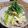 料理男子部🍻's cooksnap of when they made ご飯が進む♪大根と豚の味噌バター炒め.