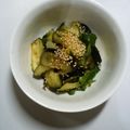 ぱくちーちゃん's cooksnap of when they made 茄子の香り浅漬け.