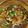 クックDAD's cooksnap of when they made 簡単♪さっぱりオクラとなめこのポン酢和え.