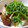 愛うらら's cooksnap of when they made きのことかつおの手こね寿司.