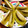 ma04tsu's cooksnap of when they made キウイの切り方。.