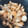 クック4NRZ4L☆'s cooksnap of when they made 手羽先のマーマレード煮.
