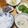 ぐみぐみさやか's cooksnap of when they made 道の駅の串こんにゃく？.