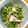 ごきげんYOYO♪'s cooksnap of when they made 簡単豆苗とハムのおひたし.