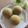 ハッピーライラック's cooksnap of when they made 和✿抹茶蒸しパン.