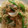 norittya's cooksnap of when they made ほしエビで塩焼きそば.
