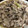 sshkk's cooksnap of when they made 豚こまのねぎ塩炒め.