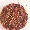 クックKMZNFY☆'s cooksnap of when they made 材料2つ！手作り粒マスタード.