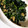 ねこのガストン's cooksnap of when they made ほうれん草のごま和え.