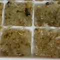 tamaa18's cooksnap of when they made 離乳食 完了期☆大根と水菜の煮物.