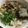 petokko's cooksnap of when they made 簡単＊白だしでうどんのつゆ＊.