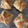そうしだいすき's cooksnap of when they made 焼くまで10分簡単マロンパイ.